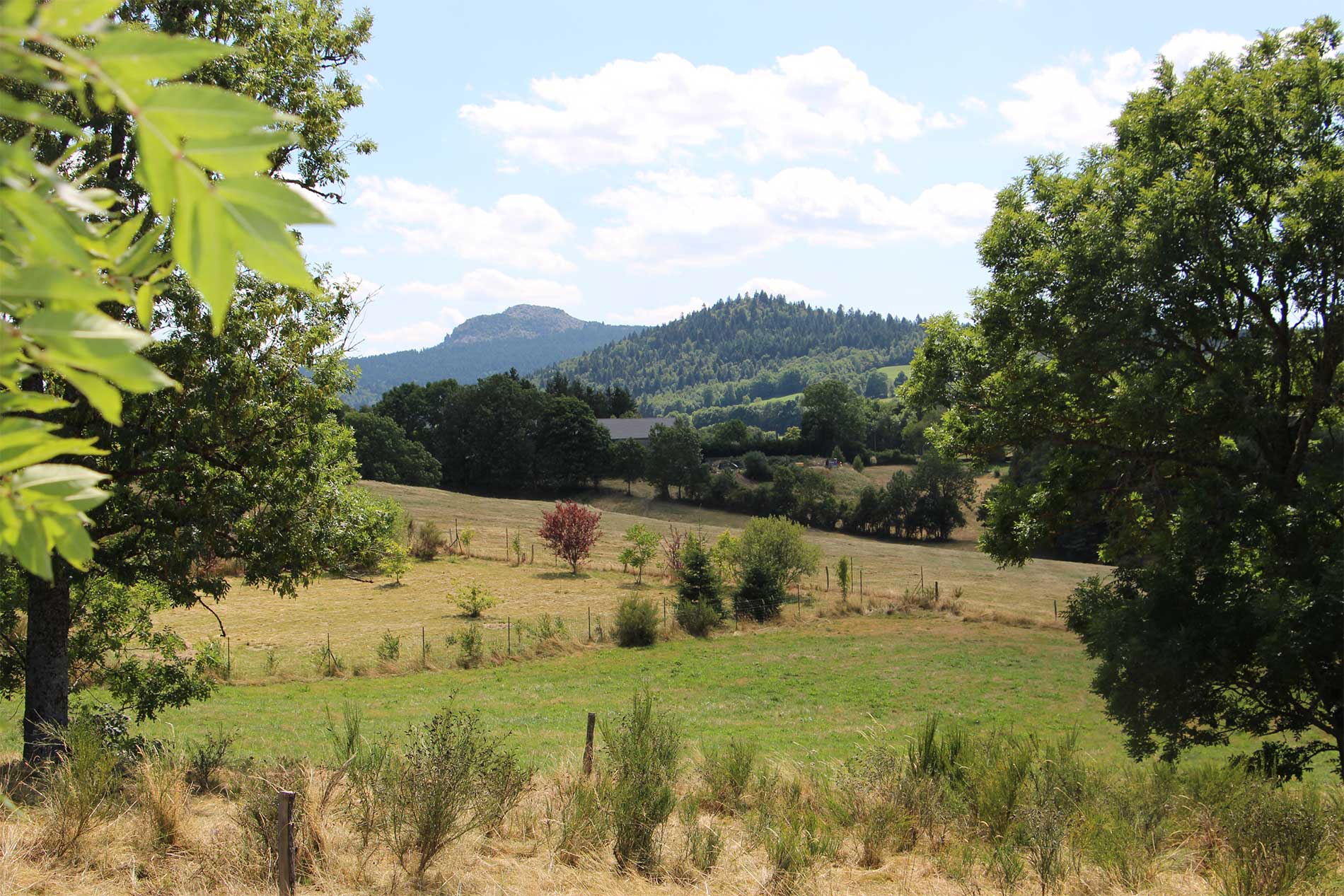vue-pic-Lizieux-et-suc-Mounier©Delphine-Valla Vue sur le pic du Lizieux et sur le suc Mounier