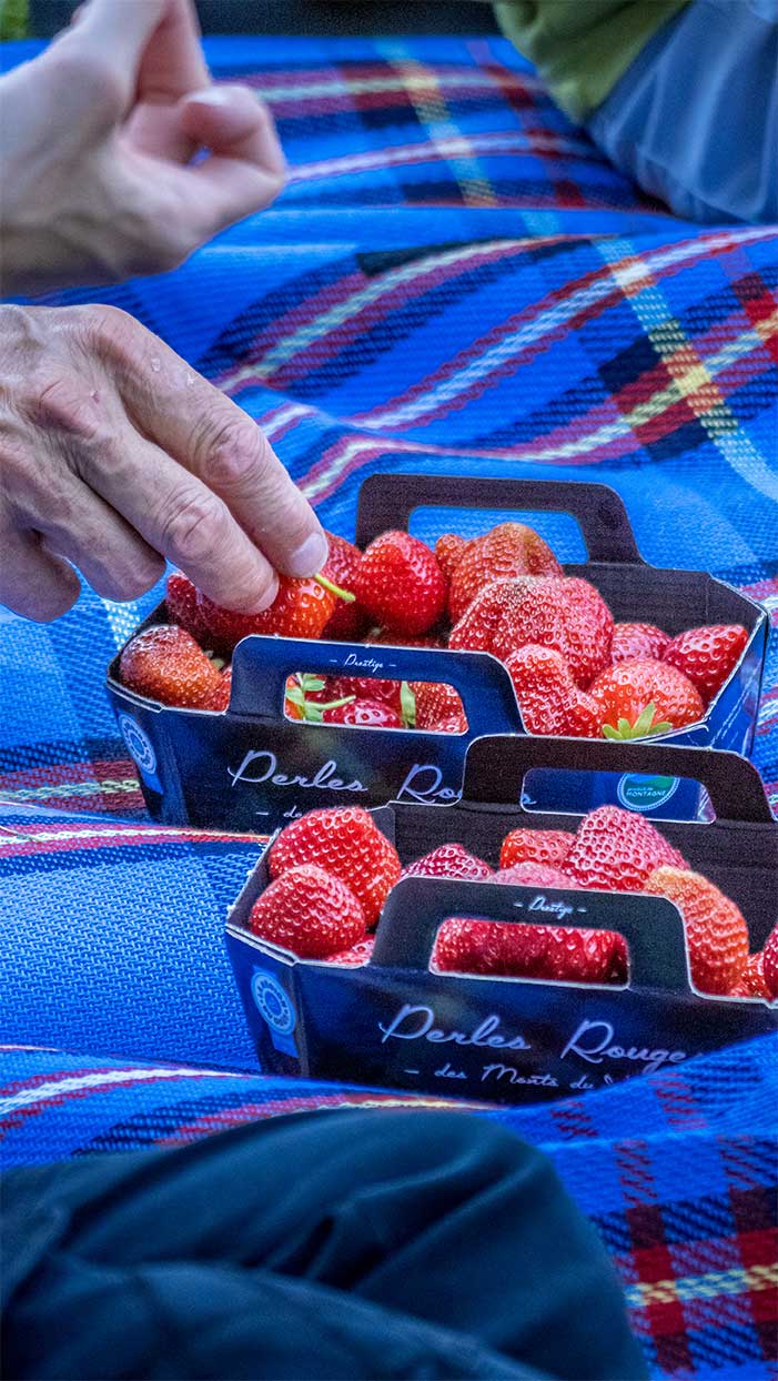 GIE-fruits-rouges©Lucas-Paulin GIE fruits rouges à Saint-Jeures
